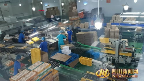 解码省级健康食品产业园强势崛起背后 背靠生态农业优势 跑出绿色发展 加速度