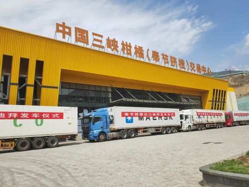 金 橙 飘香拓 眼 界 重庆奉节品牌添 翼 ,促产业焕发新机凤凰网重庆