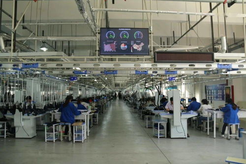 我区这几项纺织服装行业新技术 成果 新模式入选省工信厅认定名单