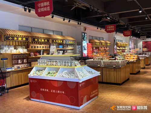 东莞要闻