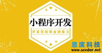 选择定制化的方式去开发小程序更好吸引客户