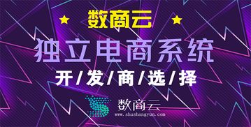 独立商城系统平台开发公司哪家靠谱